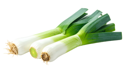 Three fresh, green and white elongated vegetables with fibrous roots, close-up view