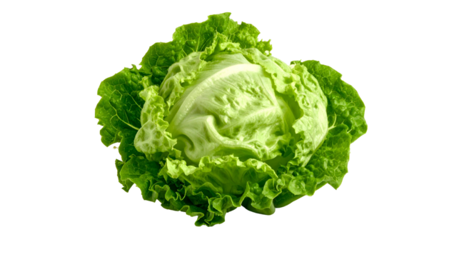 Vivid close-up view of a fresh, round head of lettuce with vibrant green leaves