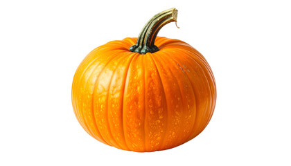 A vibrant, round orange pumpkin with a textured surface and a green, curved stem