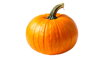 A vibrant, round orange pumpkin with a textured surface and a green, curved stem