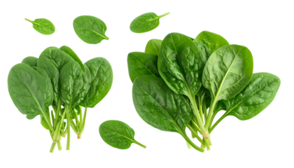 Fresh, vibrant bundles of leafy green spinach, with several loose leaves scattered