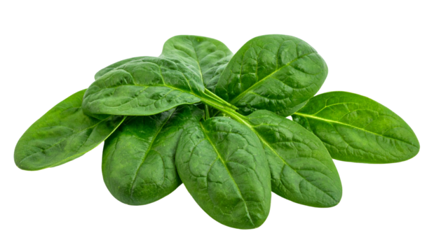 Close-up of fresh, vibrant green spinach leaves on a black background