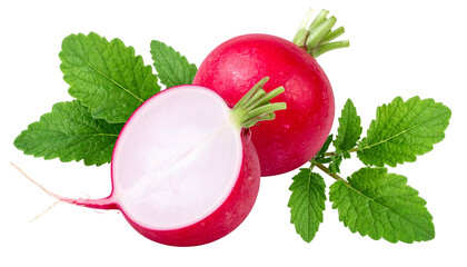 Close-up of sliced radish with leaves on a black background