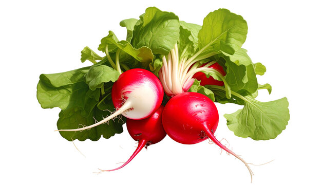 Close-up of vibrant red and white vegetables with green leafy stems on black