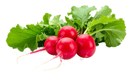 Bunch of vibrant red root vegetables with green leafy tops, ready for consumption