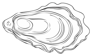 Elegant Line Art Illustration of Oyster Shell: Simple Seafood Silhouette for Culinary Concepts