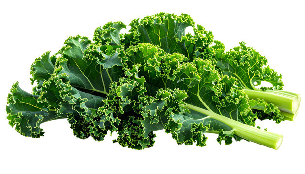 Close-up of fresh, vibrant green curly kale leaves, isolated on a black background (1) - Powered by Adobe