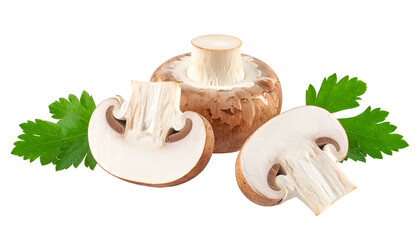 Close-up studio shot of sliced and whole brown mushrooms with green parsley