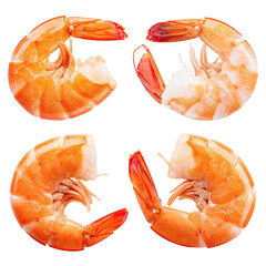 Cooked shrimp arranged, pink, curled