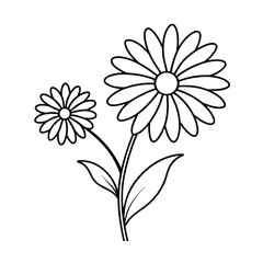 Flower vector illustration on white background, featuring a pink daisy blossom, summer floral design, and green leaf pattern