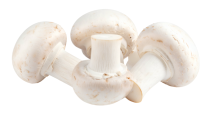 Close-up of four fresh, white button mushrooms arranged against a solid black backdrop