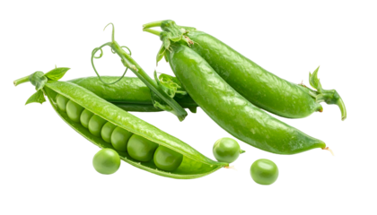 Close-up studio shot of several fresh green pea pods, some open, on a black background