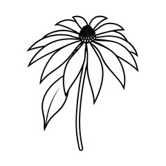 echinacea-flower-in-continuous-line-art-drawing-st (1).eps