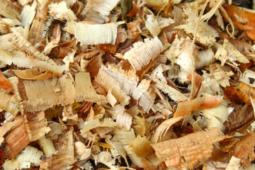texture and background on pile of sawdust close up