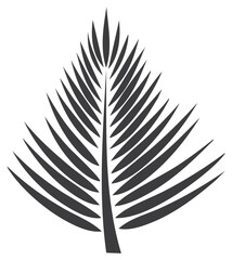 Fototapeta premium Black palm frond illustration on white background