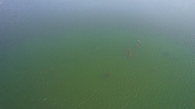 water in the lake, backwaters