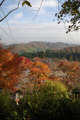 A trip to Kyoto in late autumn: An early morning stroll through ancient temples with autumn leaves seen from a high vantage point / 晩秋の京都旅行～高台から眺める紅葉の進む古刹寺院の早朝のお散歩風景