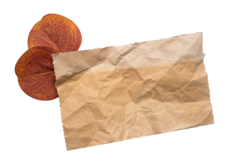 brown crumpled paper with autumn leaves isolated on white background
