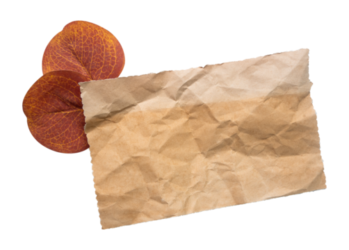 brown crumpled paper with autumn leaves isolated on white background - Powered by Adobe