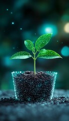 Fototapeta premium Vibrant Green Plant Sprouting from Rich Soil, Symbolizing Hope and Renewal in Nature s Cycle