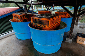 Naklejka premium Water Filtration System in Recirculating Aquaculture System (RAS)