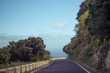 Open road along the cliffs of Tenerife, showcasing stunning views of the ocean and vibrant greenery on a clear day