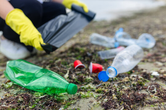 volunteer collecting plastic bottles on a polluted beach, highlighting ocean pollution, waste problem, environmental protection and coastal cleanup action.