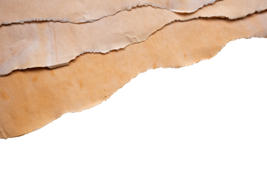 torn paper with transparent edge