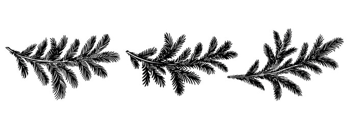 Christmas black tree branch set, hand drawn	
