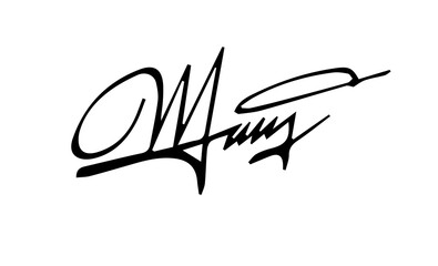 Overall Style and Form: The image features a highly stylized logo or signature, drawn with thick, flowing, connected lines, resembling calligraphy or artistic cursive.