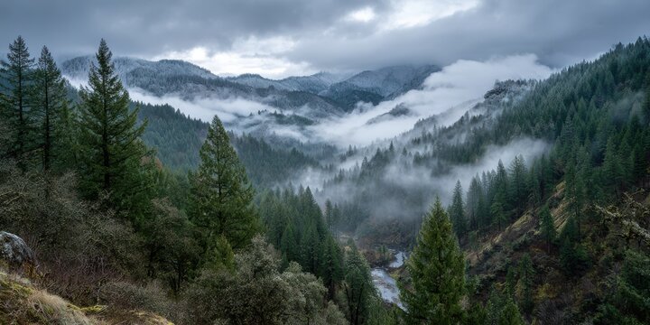 Misty evergreen forest valley with snow capped mountains and river image