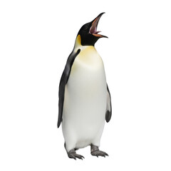 A majestic emperor penguin with its beak open in a vocalization against a stark black background