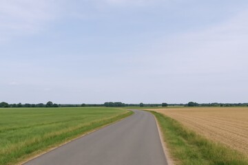 Fototapeta premium Scenic Country Road Cutting Through Lush Green Fields Under a Bright Blue Sky