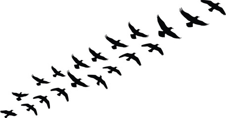 Black Silhouette Vector of a Flock of Birds Flying Diagonally in V-Formation or Migration Path, Symbolizing Freedom, Journey, Teamwork, Nature, and Movement in Sky.