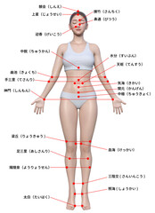 身体のツボ 日本人3Dモデル女性の図解イラスト 全身正面