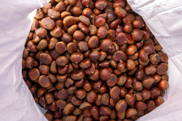 Fresh Chestnuts and Spiky Husks in Autumn Harvest