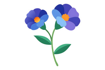 colorful flowers on white background