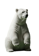 Majestic Polar Bear Portrait
Arctic King