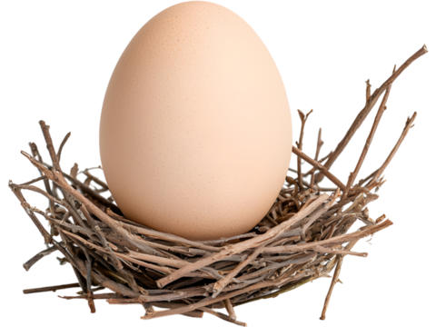 Egg in twig nest isolated on transparent background. Ideal for Easter, natural food, and organic design
