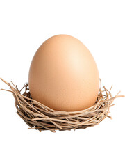 Egg in twig nest isolated on transparent background. Ideal for Easter, natural food, and organic design