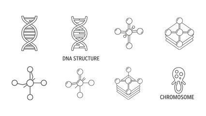 DNA Structure and Chromosome Line Art Icons for Science Projects