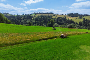 Tractor working in a field during haymaking in Podhale, Poland. Summer rural landscape featuring agricultural work, green hills, and traditional houses.