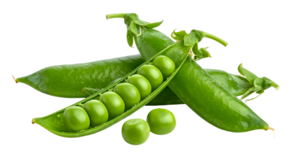 Close-up of several green pea pods, one opened to display vibrant, round peas, and loose ones