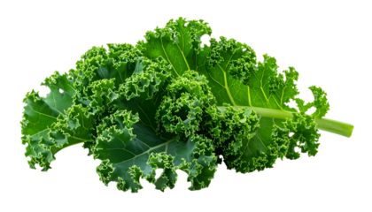 Close-up studio shot of a vibrant, fresh kale leaf on a stark, black background