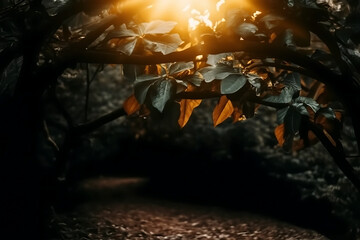 Golden sunset light filters through dense forest canopy illuminating a hidden campsite with tents and fallen leaves on the ground creating a magical outdoor adventure scene