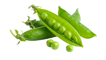 Close-up of open green pod revealing vibrant, spherical peas with more pods around