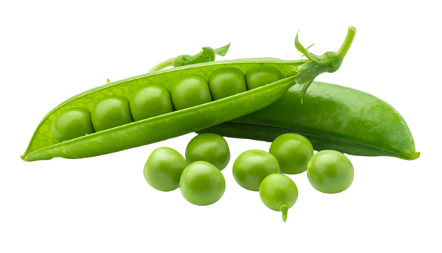 Close-up of open pea pod revealing green peas with a few scattered loose beside it