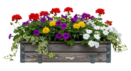 Colorful floral arrangement in a rustic wooden planter box, showcasing diverse blooms and trailing ivy against a white background