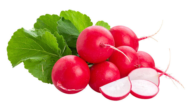 Close-up of vibrant radishes with leaves and two sliced pieces on a transparent background
