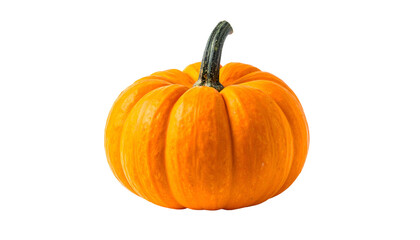 Close-up of a perfectly ripe, miniature, round, orange gourd with a green stem, isolated